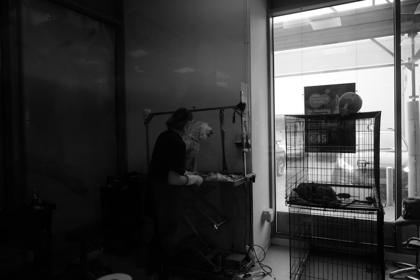 Groomer working on a small dog at a grooming table.
